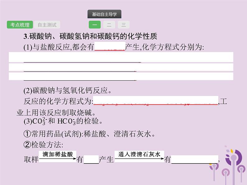 中考化学一轮复习基础知识过关课件 第十一单元盐 化肥（含答案）第4页