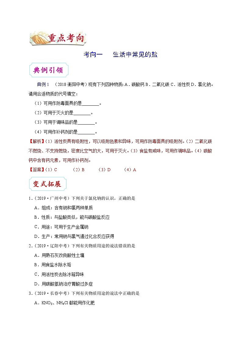 中考化学一轮复习知识点梳理+过关练习考点32 生活中常见的盐 (含解析)第3页