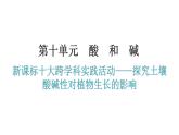 人教版九年级化学第十单元酸和碱实践活动探究土壤酸碱性对植物生长的影响教学课件