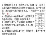 人教版九年级化学第十单元酸和碱实践活动探究土壤酸碱性对植物生长的影响教学课件