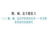 人教版九年级化学第十一单元盐化肥（三）酸、碱、盐化学性质的应用有关物质变质的实验探究教学课件