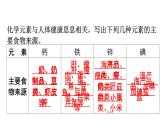 人教版九年级化学第十二单元化学与生活2化学元素与人体健康教学课件