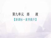 人教版九年级化学第九单元溶液新课标素养提升课件