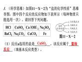 人教版九年级化学第十一单元盐化肥新课标素养提升课件