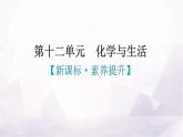 人教版九年级化学第十二单元化学与生活新课标素养提升课件