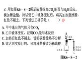 人教版九年級(jí)化學(xué)第六單元實(shí)驗(yàn)活動(dòng)2二氧化碳的實(shí)驗(yàn)室制取與性質(zhì)分層作業(yè)課件