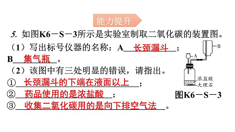 人教版九年级化学第六单元实验活动2二氧化碳的实验室制取与性质分层作业课件06