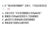 人教版九年级化学第十单元实验活动7溶液酸碱性的检验分层作业课件