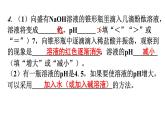 人教版九年级化学第十单元实验活动7溶液酸碱性的检验分层作业课件