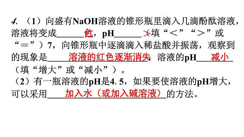 人教版九年级化学第十单元实验活动7溶液酸碱性的检验分层作业课件05