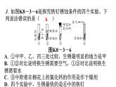 人教版九年级化学第八单元3金属资源的利用和保护课时2金属的腐蚀与保护分层作业课件