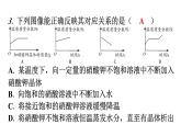 人教版九年级化学第九单元3溶液的浓度课时1溶质的质量分数溶液的稀释或浓缩分层作业课件