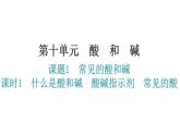 人教版九年级化学第十单元1常见的酸和碱课时1什么是酸和碱酸碱指示剂常见的酸分层作业课件