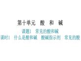 人教版九年级化学第十单元1常见的酸和碱课时1什么是酸和碱酸碱指示剂常见的酸分层作业课件