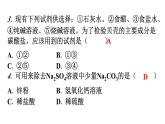 人教版九年级化学第十一单元1生活中常见的盐课时1常见的盐分层作业课件