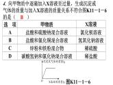 人教版九年级化学第十一单元1生活中常见的盐课时3盐的化学性质分层作业课件