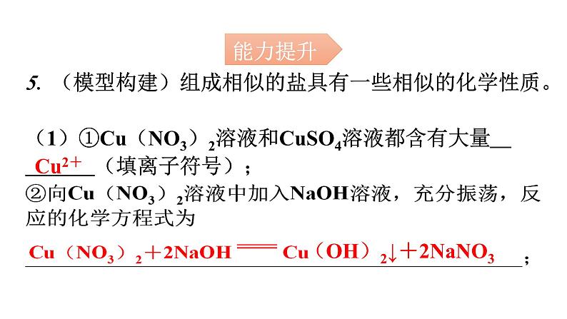 人教版九年级化学第十一单元1生活中常见的盐课时3盐的化学性质分层作业课件第5页