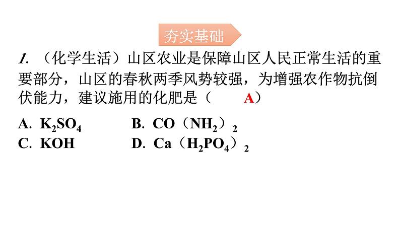 人教版九年级化学第十一单元2化学肥料课题2化学肥料分层作业课件第2页