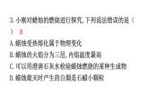 人教版九年级化学第一单元2化学是一门以实验为基础的科学课时1对蜡烛及其燃烧的探究分层作业课件