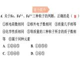 人教版九年级化学第三单元3元素课时1元素分层作业课件