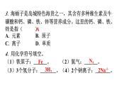 人教版九年级化学第三单元3元素课时2元素符号和元素周期表分层作业课件