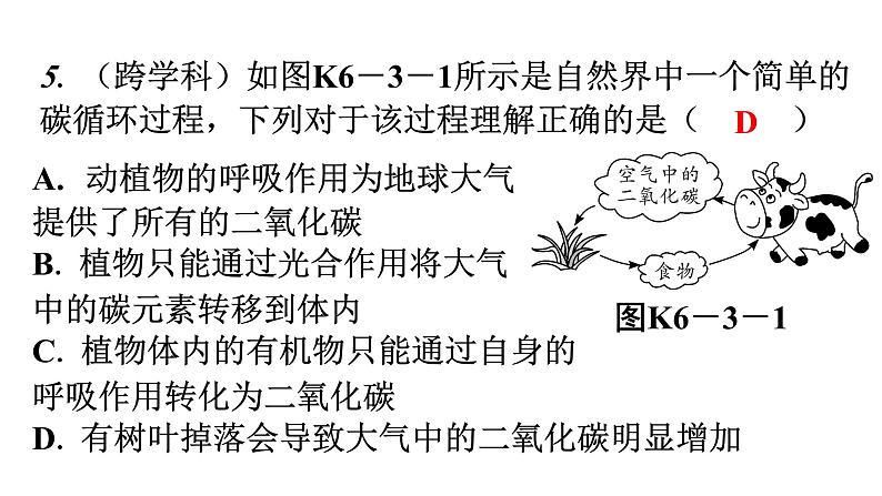 人教版九年级化学第六单元3二氧化碳和一氧化碳课时1二氧化碳分层作业课件第5页