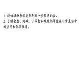 人教版九年级化学第十一单元盐化肥课时1常见的盐教学课件