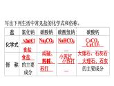 人教版九年级化学第十一单元盐化肥课时1常见的盐教学课件