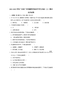 广东省广州市番禺区执信中学2022-2023学年九年级上学期期末化学试卷