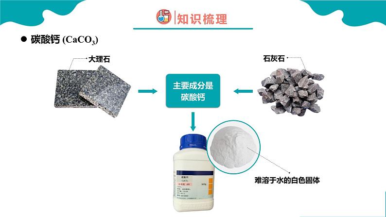 课题1 生活中常见的盐 第2课时课件PPT第4页