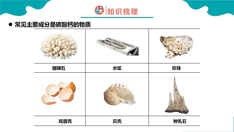 课题1 生活中常见的盐 第2课时课件PPT第5页