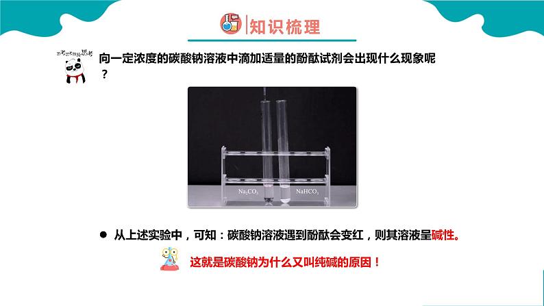 课题1 生活中常见的盐 第2课时课件PPT第8页