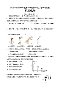 江苏省沭阳县部分学校2023-2024学年九年级上学期第一次定时作业化学试卷