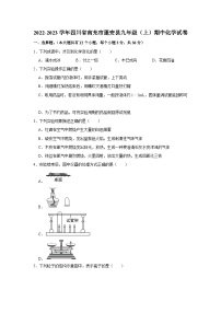 四川省南充市蓬安县2022-2023学年九年级上学期期中化学试卷