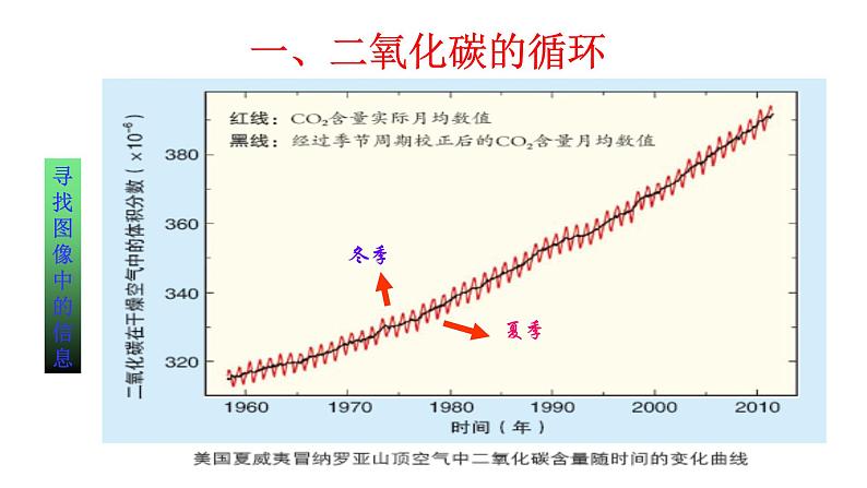 6.3 第1课时 二氧化碳的循环及利用  课件 2023-2024 鲁教版化学 八年级05