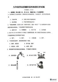 江苏省连云港市灌南县教育联盟校联考2023-2024学年九年级上学期阶段性检测化学试题（月考）