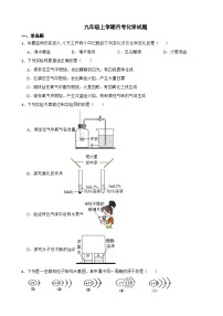 广东省茂名市2023年九年级上学期月考化学试题（附答案）