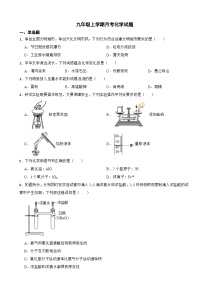 江苏省兴化市2023年九年级上学期月考化学试题（附答案）