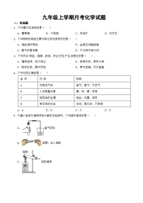 江苏省镇江市2023年九年级上学期月考化学试题（附答案）