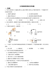 江苏省苏州市2023年九年级阶段性测试化学试题（附答案）