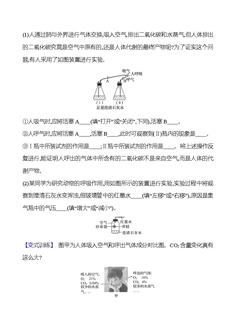 第一单元　课题2　第二课时　对人体吸入的空气和呼出的气体的探究 同步练习 2023-2024 人教版化学九年级上册02
