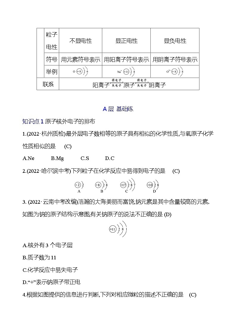 第三单元　课题2　第2课时　原子核外电子的排布　离子 同步练习 （教师版）2023-2024 人教版化学九年级上册第3页