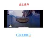 1.2 溶液组成的定量表示 课件---2023--2024学年九年级化学鲁教版（五四学制）全一册