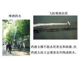 1.2 溶液组成的定量表示 课件---2023--2024学年九年级化学鲁教版（五四学制）全一册
