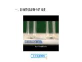 1.3 物质的溶解性 课件---2023--2024学年九年级化学鲁教版（五四学制）全一册