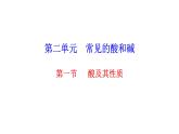 2.1 酸及其性質(zhì) 課件---2023--2024學(xué)年九年級(jí)化學(xué)魯教版（五四學(xué)制）全一冊(cè)