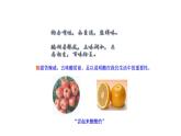 2.1 酸及其性質(zhì) 課件---2023--2024學(xué)年九年級(jí)化學(xué)魯教版（五四學(xué)制）全一冊(cè)