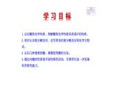 2.1 酸及其性質(zhì) 課件---2023--2024學(xué)年九年級(jí)化學(xué)魯教版（五四學(xué)制）全一冊(cè)