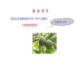 2.2 堿及其性質(zhì) 課件---2023--2024學(xué)年九年級(jí)化學(xué)魯教版（五四學(xué)制）全一冊(cè)