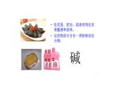 2.2 堿及其性質(zhì) 課件---2023--2024學(xué)年九年級(jí)化學(xué)魯教版（五四學(xué)制）全一冊(cè)